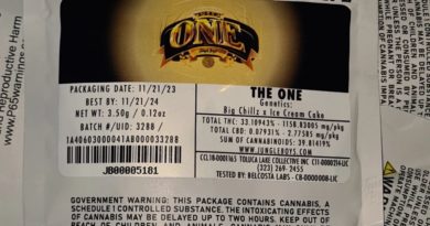 the one by jungle boys strain review by cannoisseurselections 2.webp