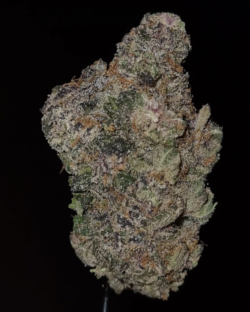 the one by jungle boys strain review by cannoisseurselections