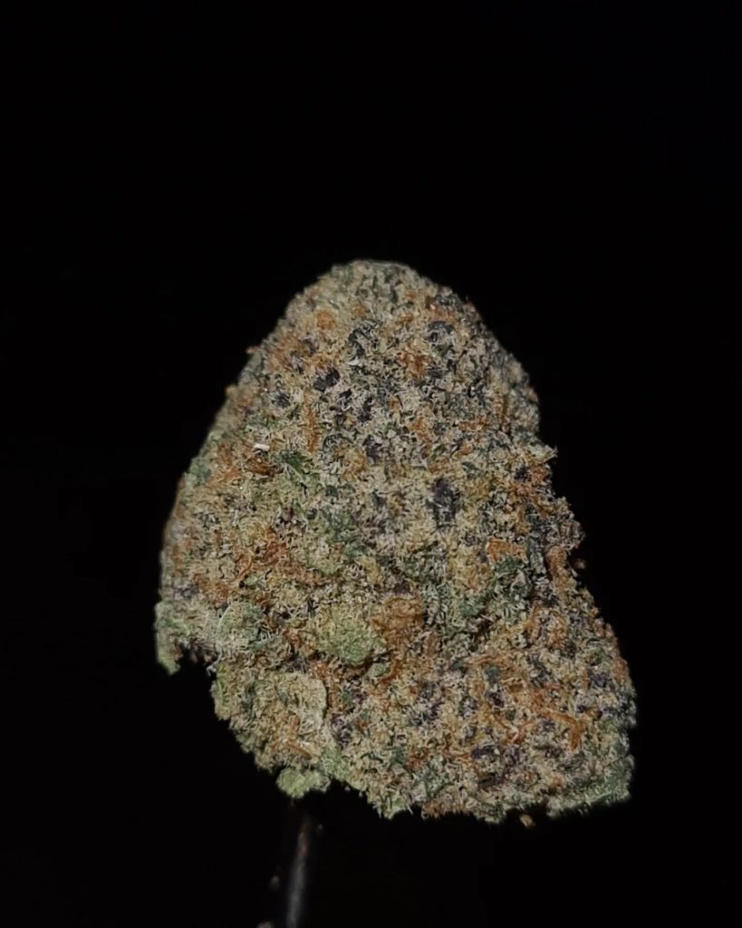 tropical zoap by deep east strain review by cannoisseurselections 2.webp