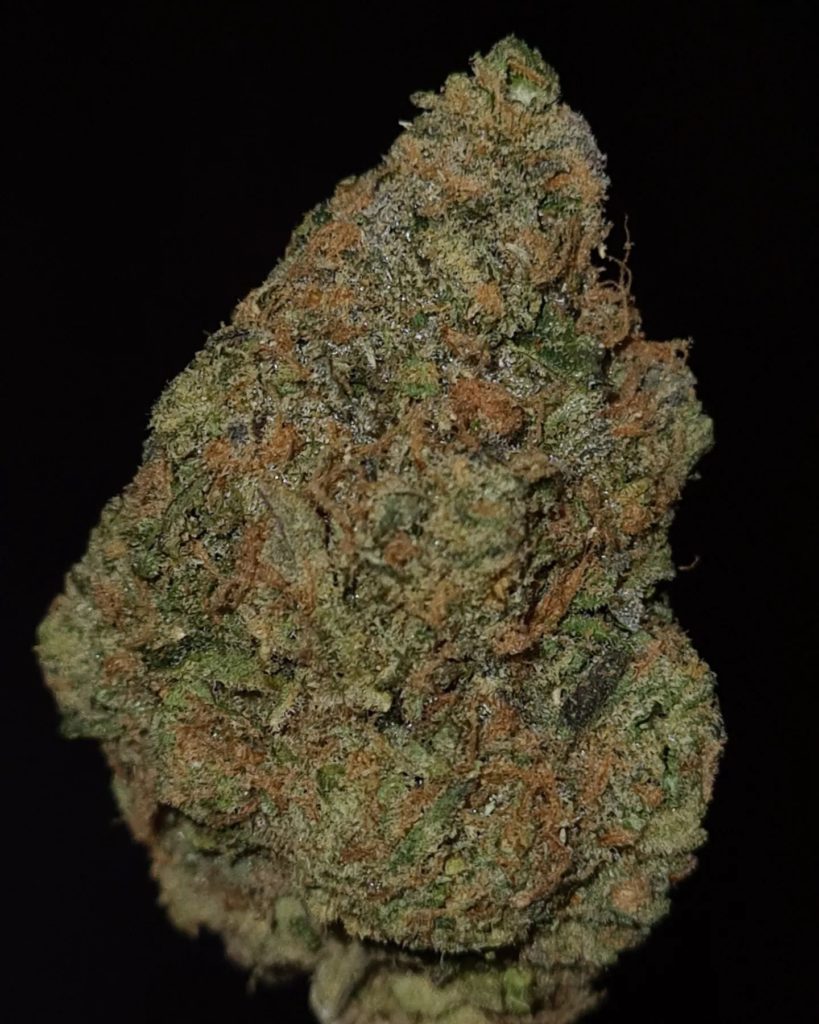 yellow zkittlez by hollyhood boyzz strain review by cannoisseurselections