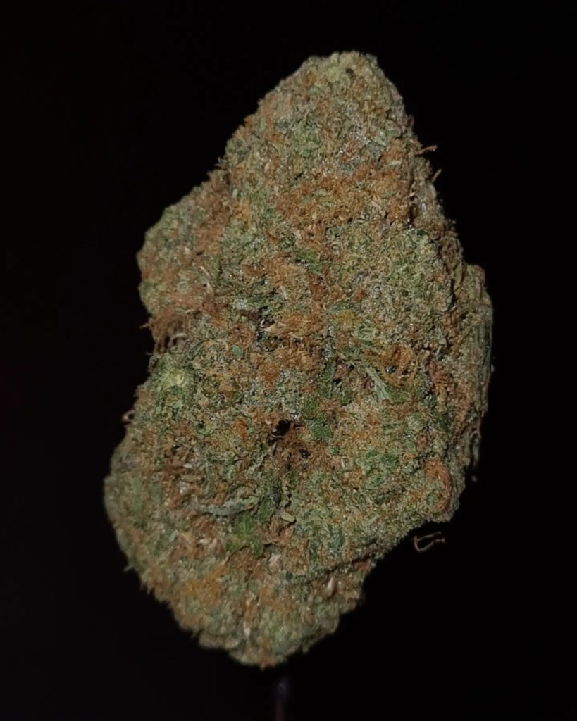 z wagon by johnny dankco strain review by cannoisseurselections 2.webp