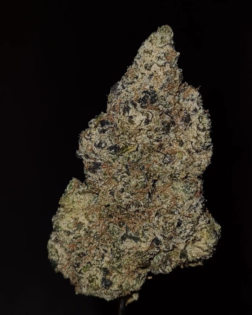 zoapy bubblech by zourzop strain review by cannoisseurselections