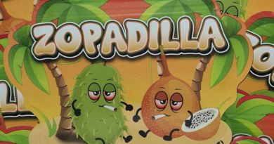 zopadilla by zourzop x faiqz strain review by cannoisseurselections 2.webp