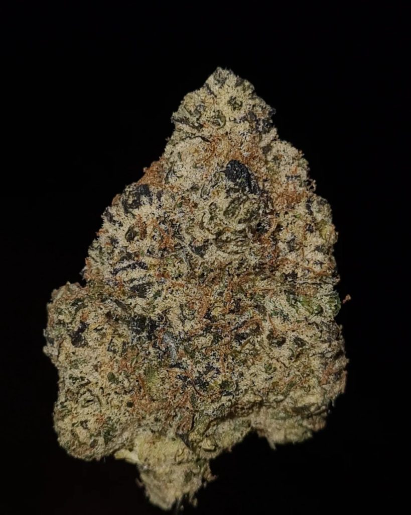 zopadilla by zourzop x faiqz strain review by cannoisseurselections