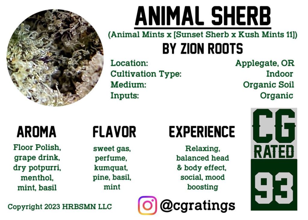 animal sherb by zion roots farms strain review by dankmaven