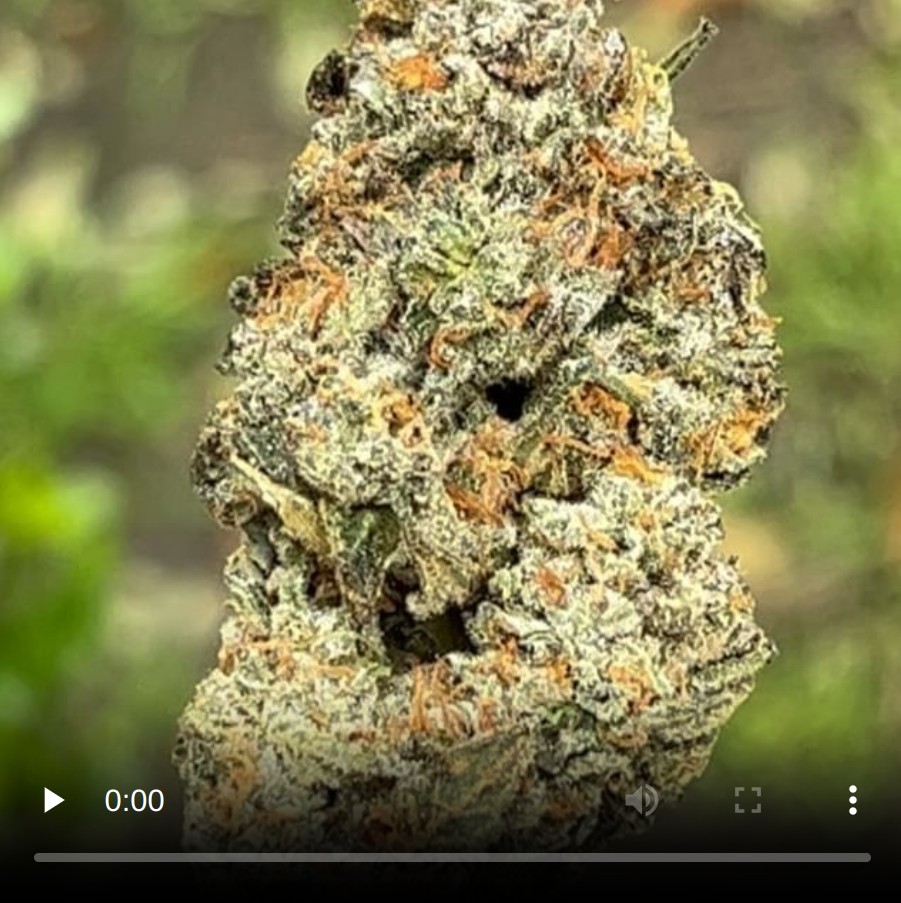 apples and bananas by locals only strain review by thethcspot