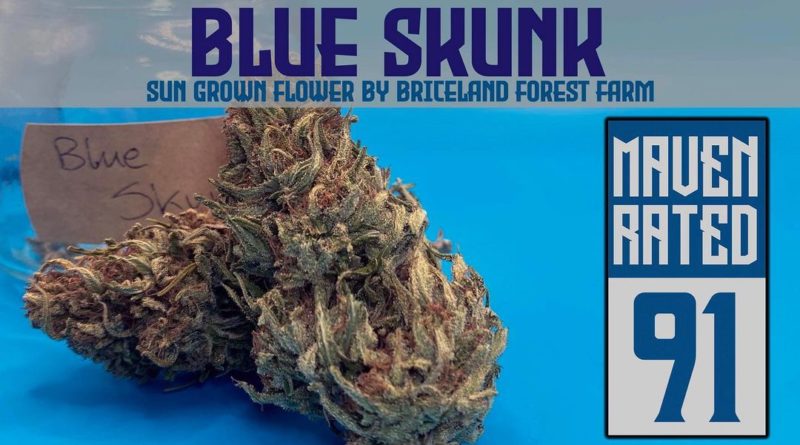 blue skunk 2 by briceland forest farm strain review by dank maven 2.jpg