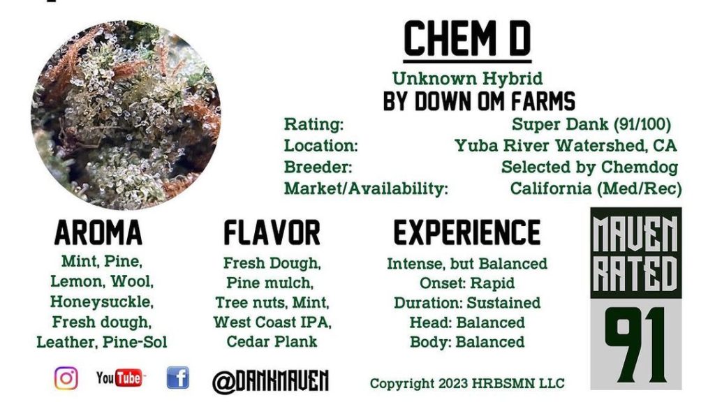 chem d by down om farms strain review by dank maven