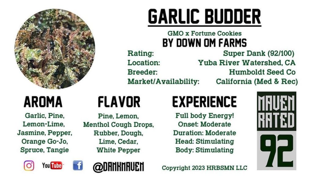 garlic budder by down om farms strain review by dank maven