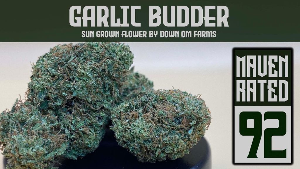 garlic budder by down om farms strain review by dank maven 2.jpg