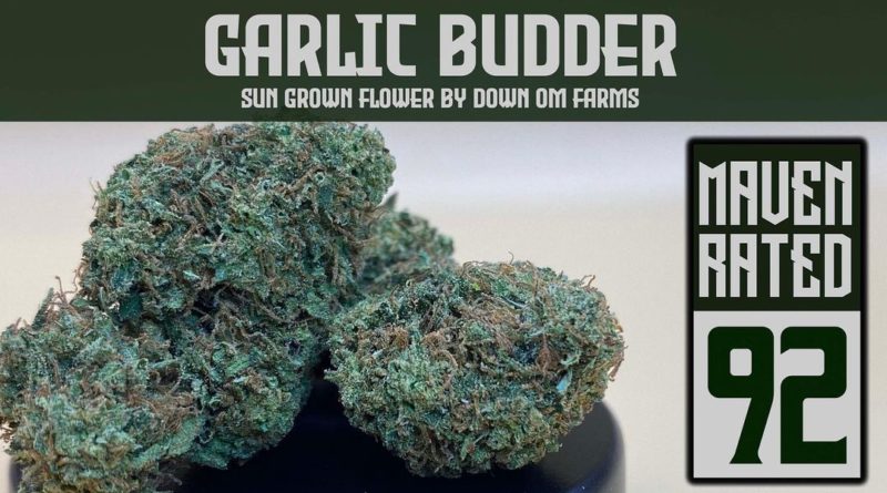 garlic budder by down om farms strain review by dank maven 2.jpg