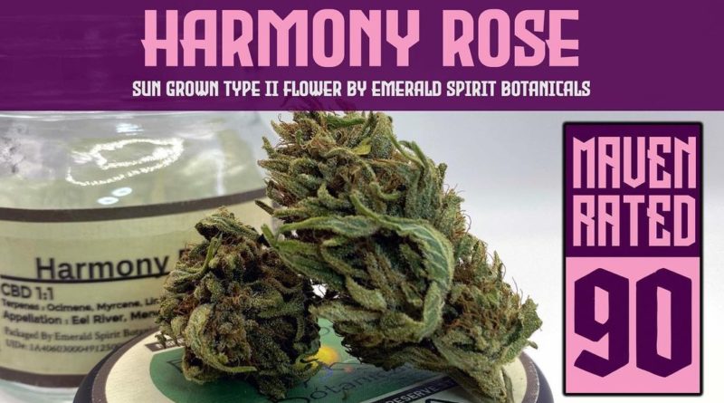 harmony rose by emerald spirit botanicals strain review by dank maven 3.jpg