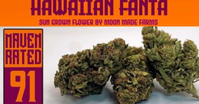 hawaiian fanta by moon made farms strain review by dank maven 2.jpg