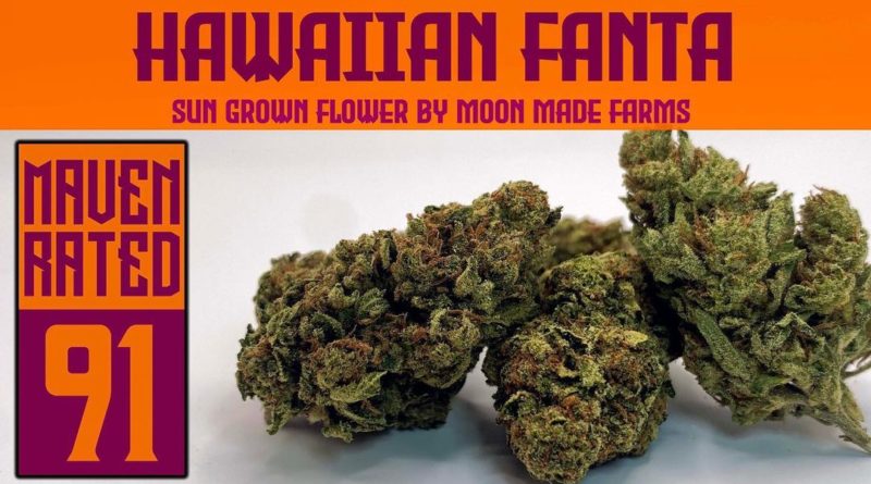 hawaiian fanta by moon made farms strain review by dank maven 2.jpg