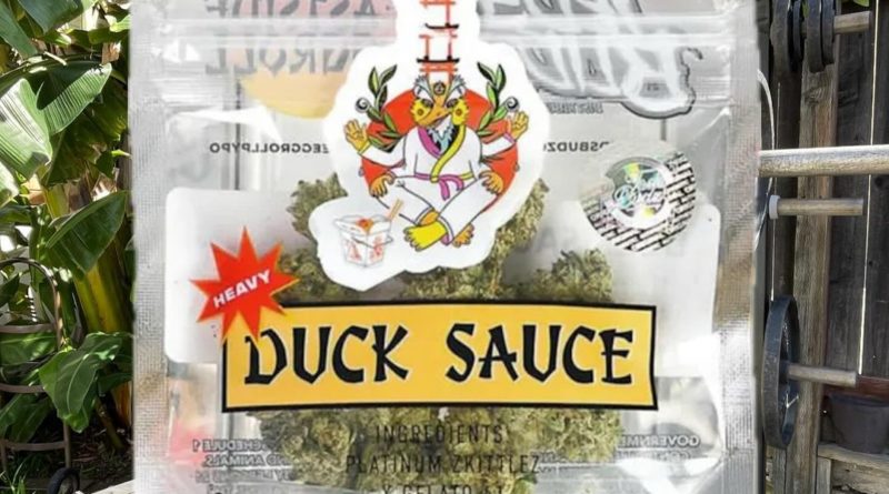 heavy duck sauce by teds budz co strain review by eriksreviews 2.jpg