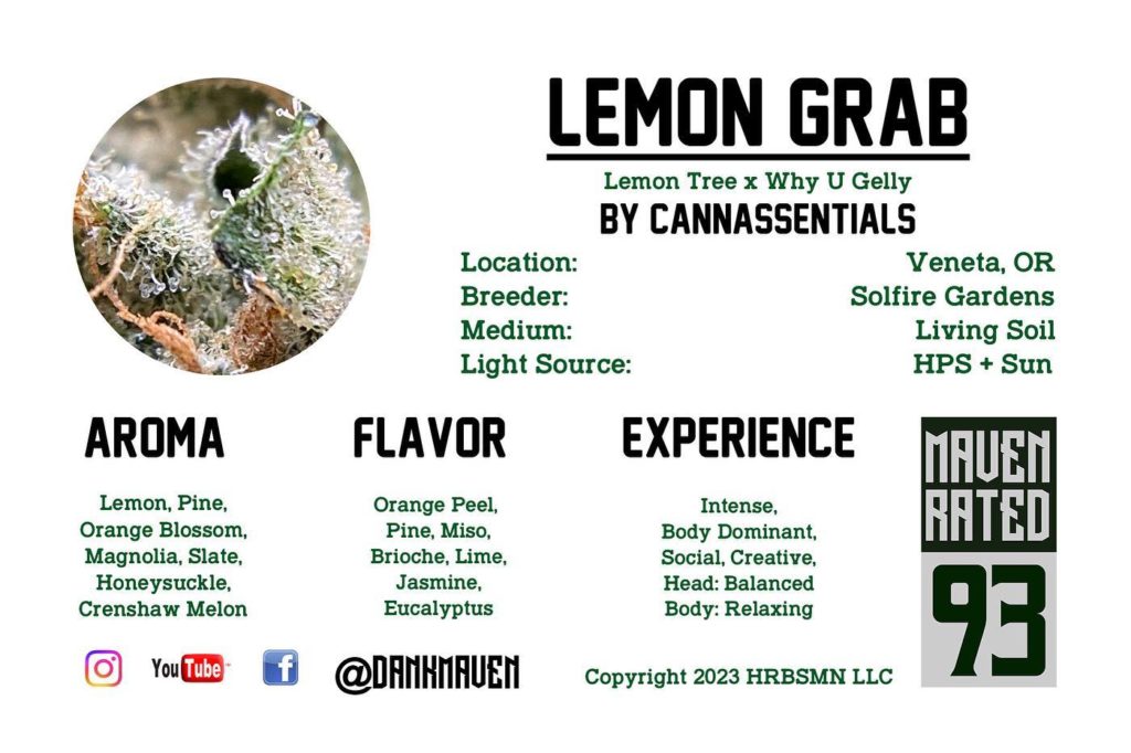 lemon grab by cannassentials strain review by dank maven 2.jpg