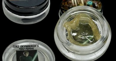 luke skywalkers puro papaya fresh press rosin by the real cannabis chris hash review by cali_bud_reviews 2.jpg