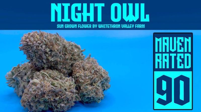 night owl by whitethorn valley farm strain review by dank maven 2.jpg