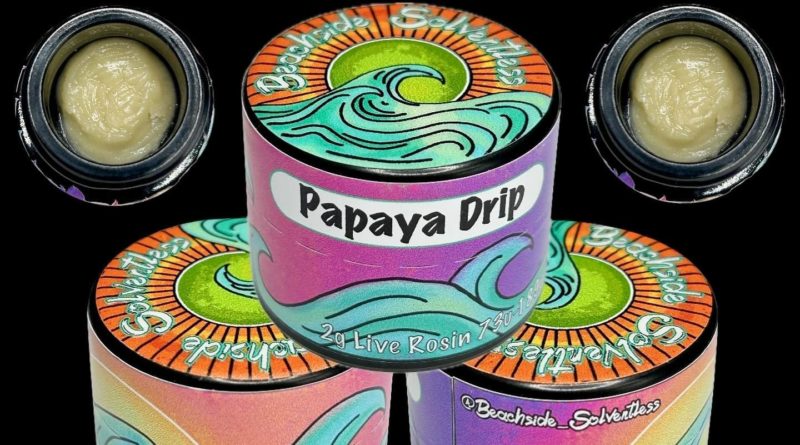 papaya drip cold cure rosin by beaachside solventless hash review by cali_bud_reviews 2.jpg