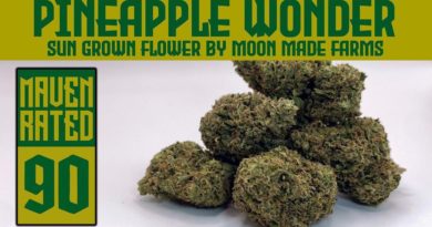 pineapple wonder by moon made farms strain review by dank maven 2.jpg