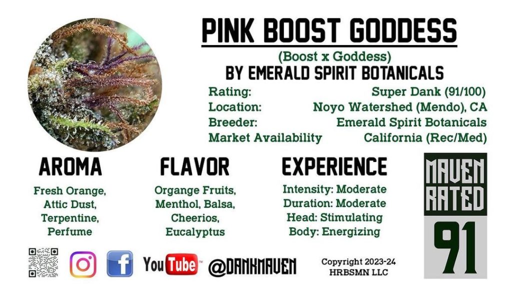 pink boost goddess by emerald spirit botanicals 2024 strain review by dank maven