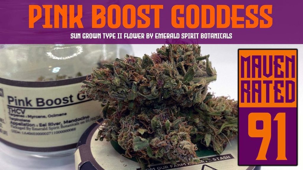 pink boost goddess by emerald spirit botanicals 2024 strain review by dank maven 2.jpg