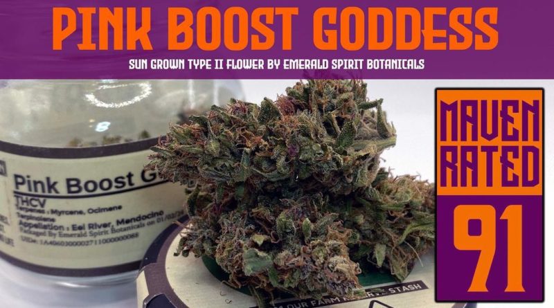 pink boost goddess by emerald spirit botanicals 2024 strain review by dank maven 2.jpg