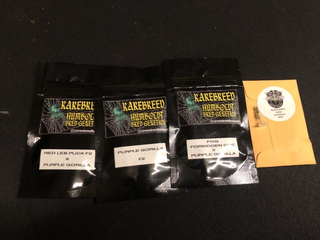 rarebreed humboldt and doc ray genetics seeds from area 101