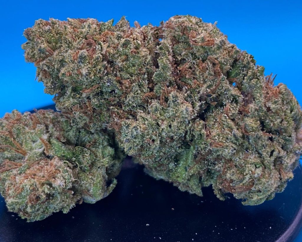 rogue wildflower by alter farms strain review by dank maven