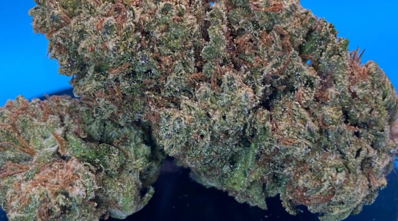 rogue wildflower by alter farms strain review by dank maven