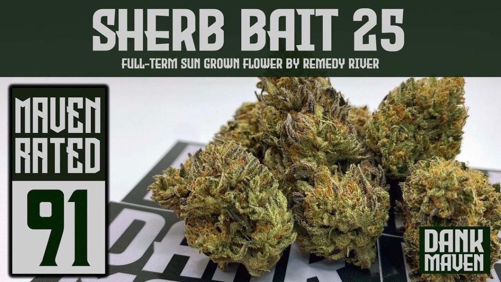 sherb bait 25 by remedy river strain review by dank maven 2.jpg