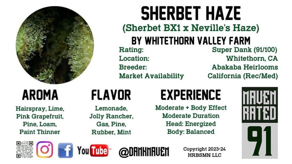 sherbet haze by whitethorn valley farms strain review by dank maven