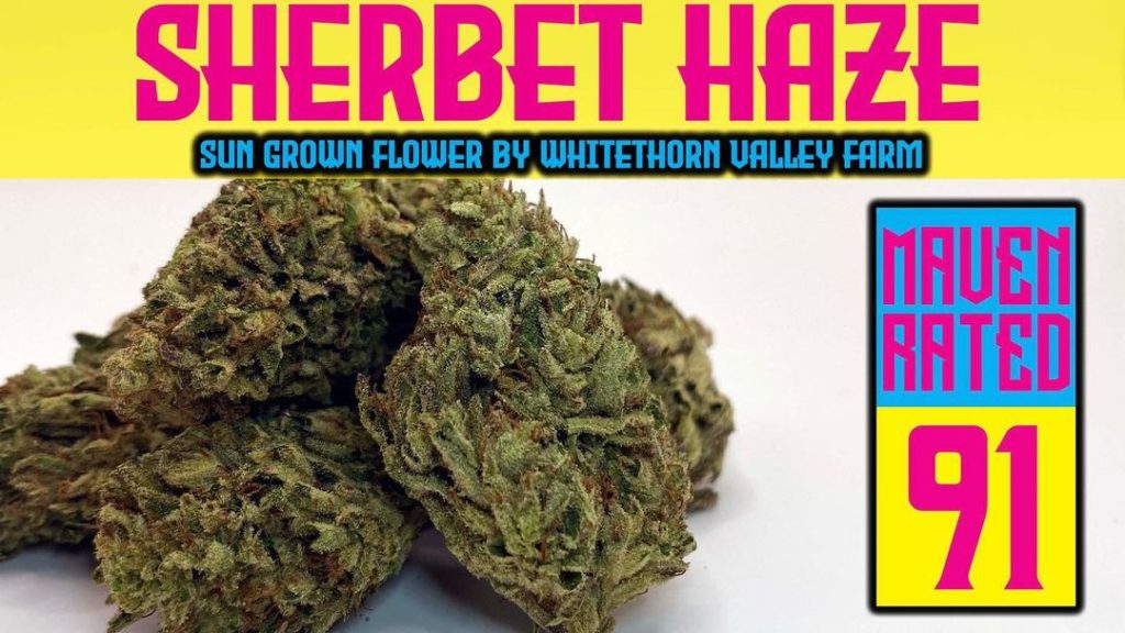 sherbet haze by whitethorn valley farms strain review by dank maven 2.jpg