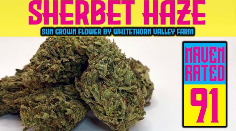 sherbet haze by whitethorn valley farms strain review by dank maven 2.jpg