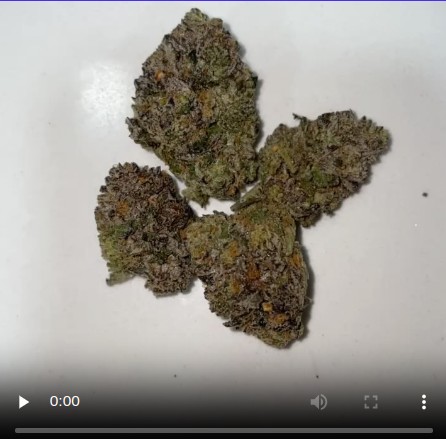 chocolate runtz by up the hill exclusive strain review by eriksreviews