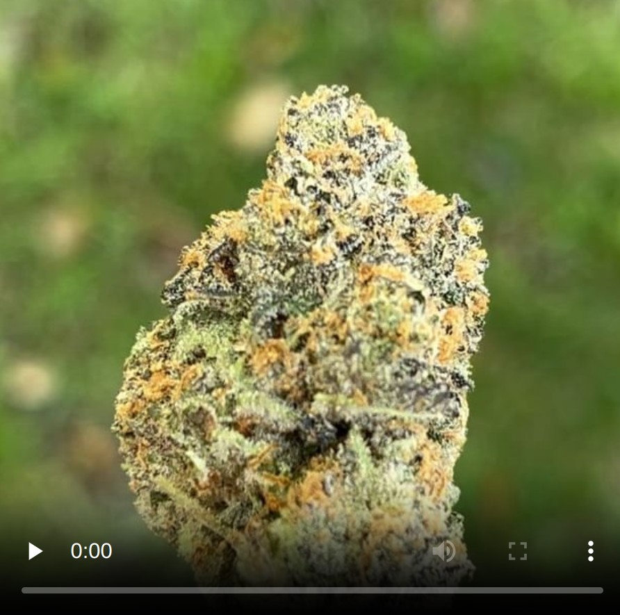 paina ppuru by west coast milo strain review by thethcspot