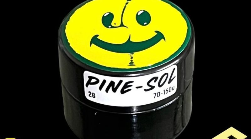 pine-sol rosin by feel good la hash review by thethcspot 2.jpg