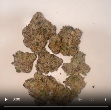 robotrip by pack gods x teds budz strain review by eriksreviews