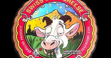 swiss goat cheese by flower district strain review by thethcspot 2.jpg