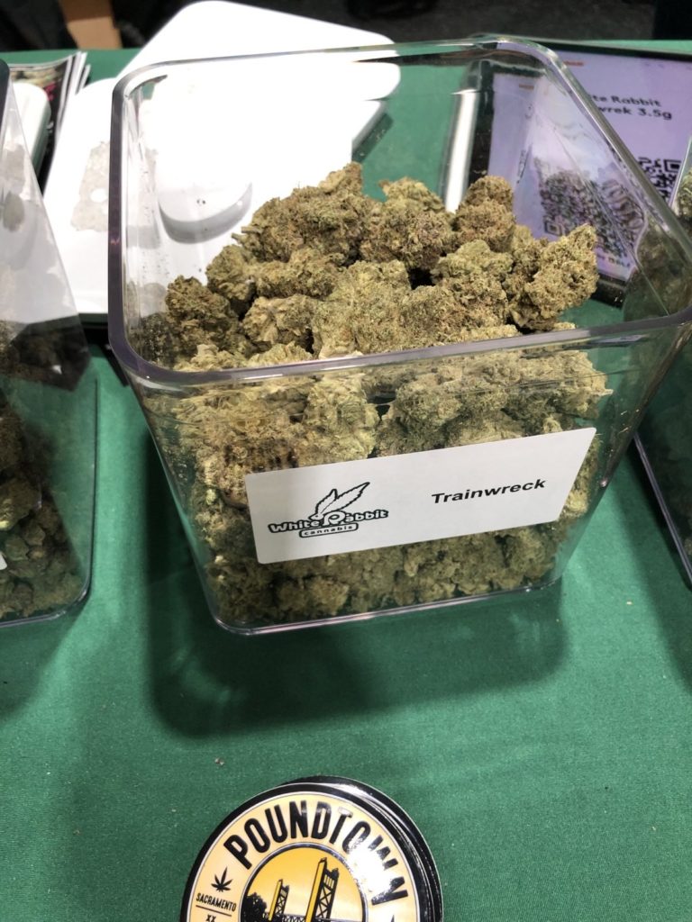 white rabbit cannabis trainwreck at hall of flowers 2024 ventura