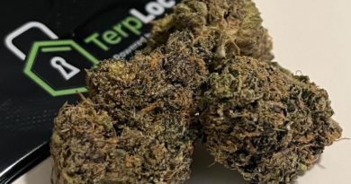 zonks by limited trees genetics strain review by digital.smoke