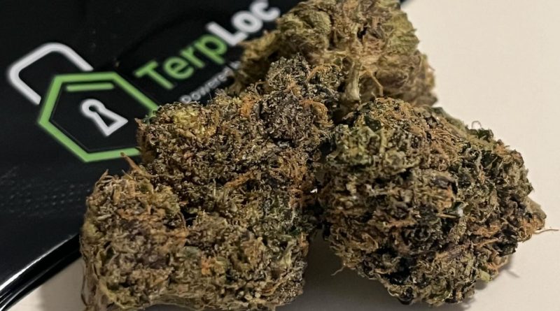 zonks by limited trees genetics strain review by digital.smoke