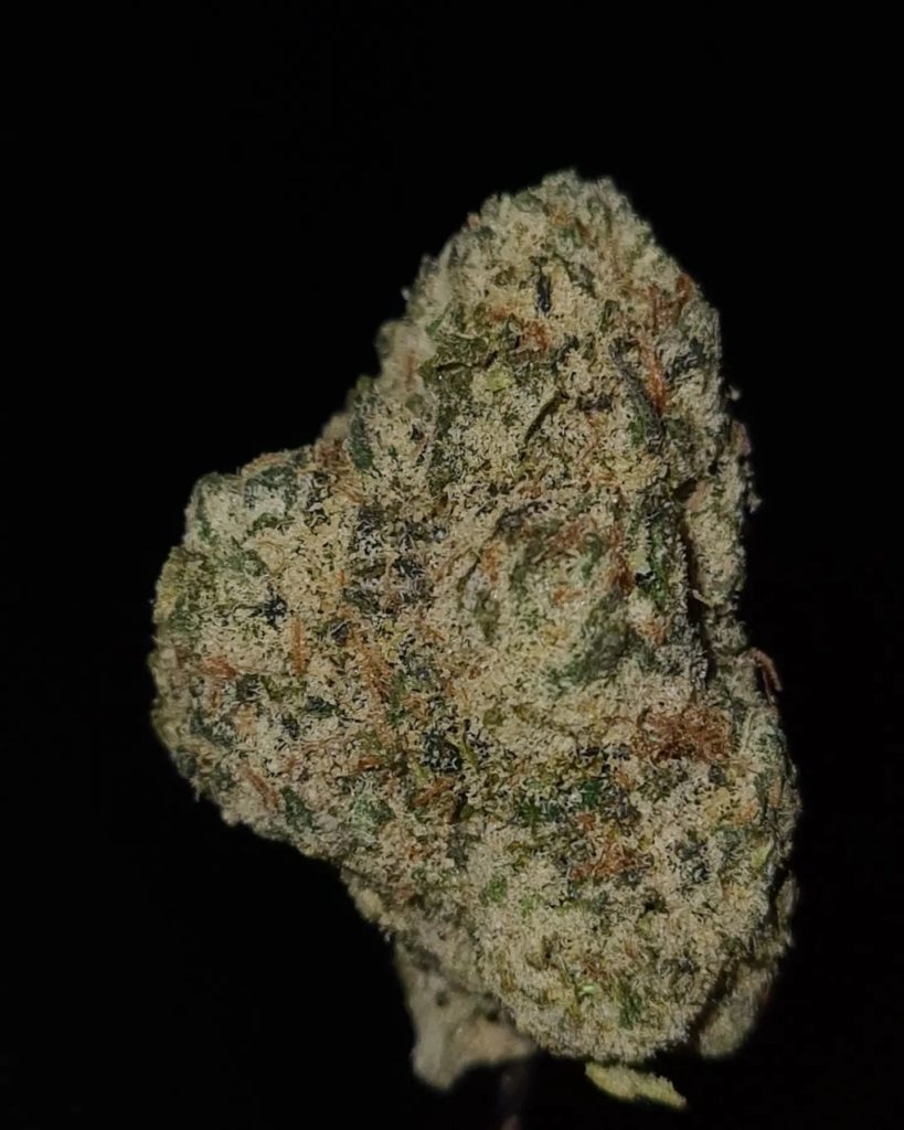 amor by don merfos exotics strain review by cannoisseurselections