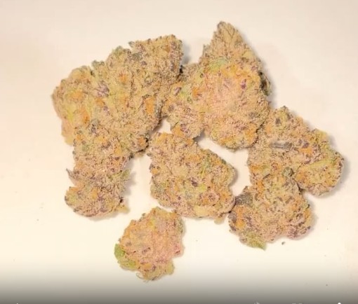 blue shamu by teds buz x rich the factor strain review by eriksreviews