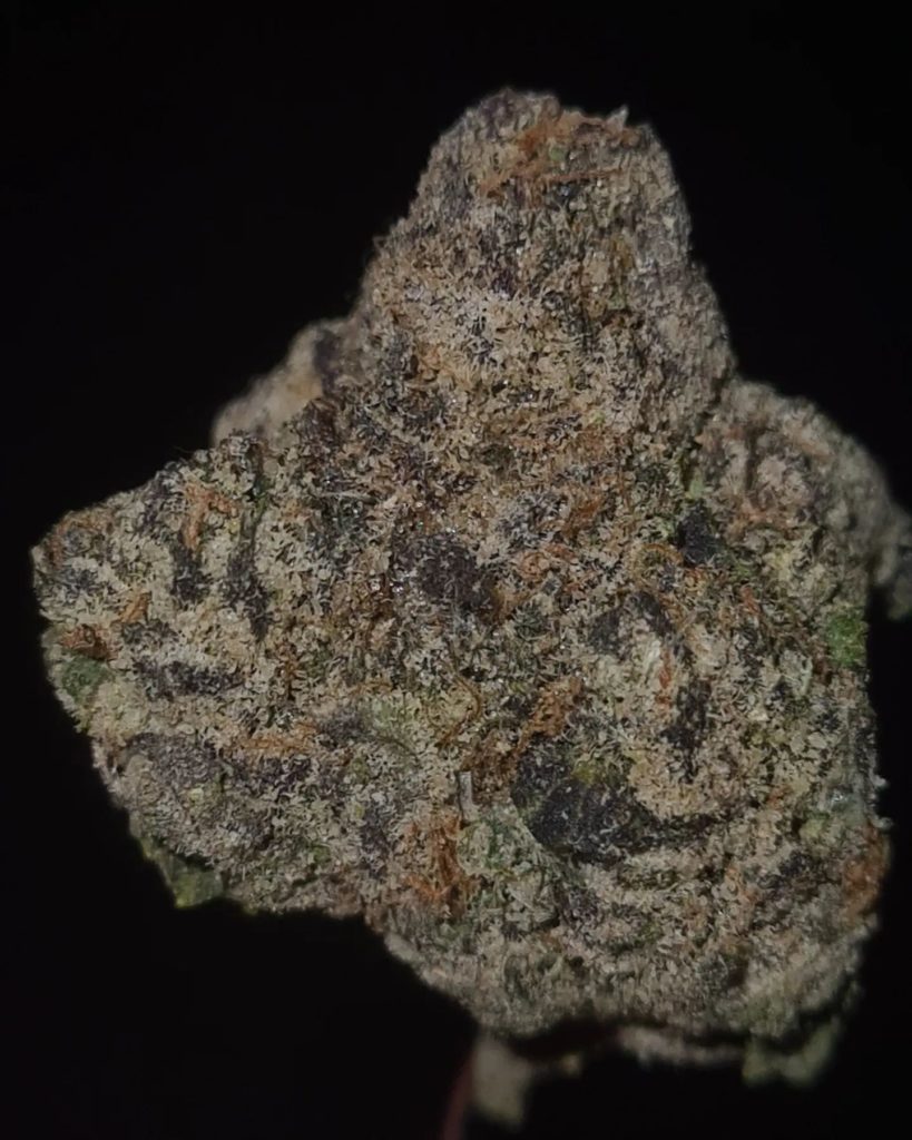 blueberry marshmallow by trap candy strain review by cannoisseurselections