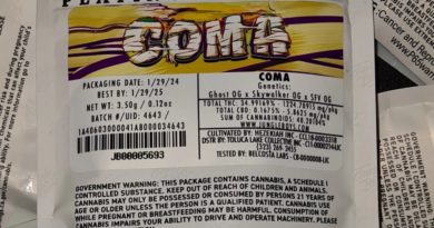 coma by jungle boys strain review by cannoisseurselections 2.webp