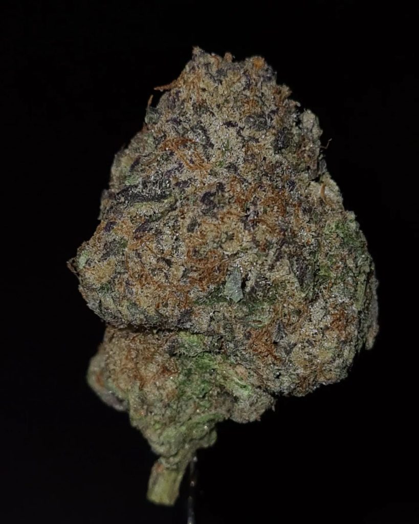 grape depression by life is not grape 2024 strain review by cannoisseurselections