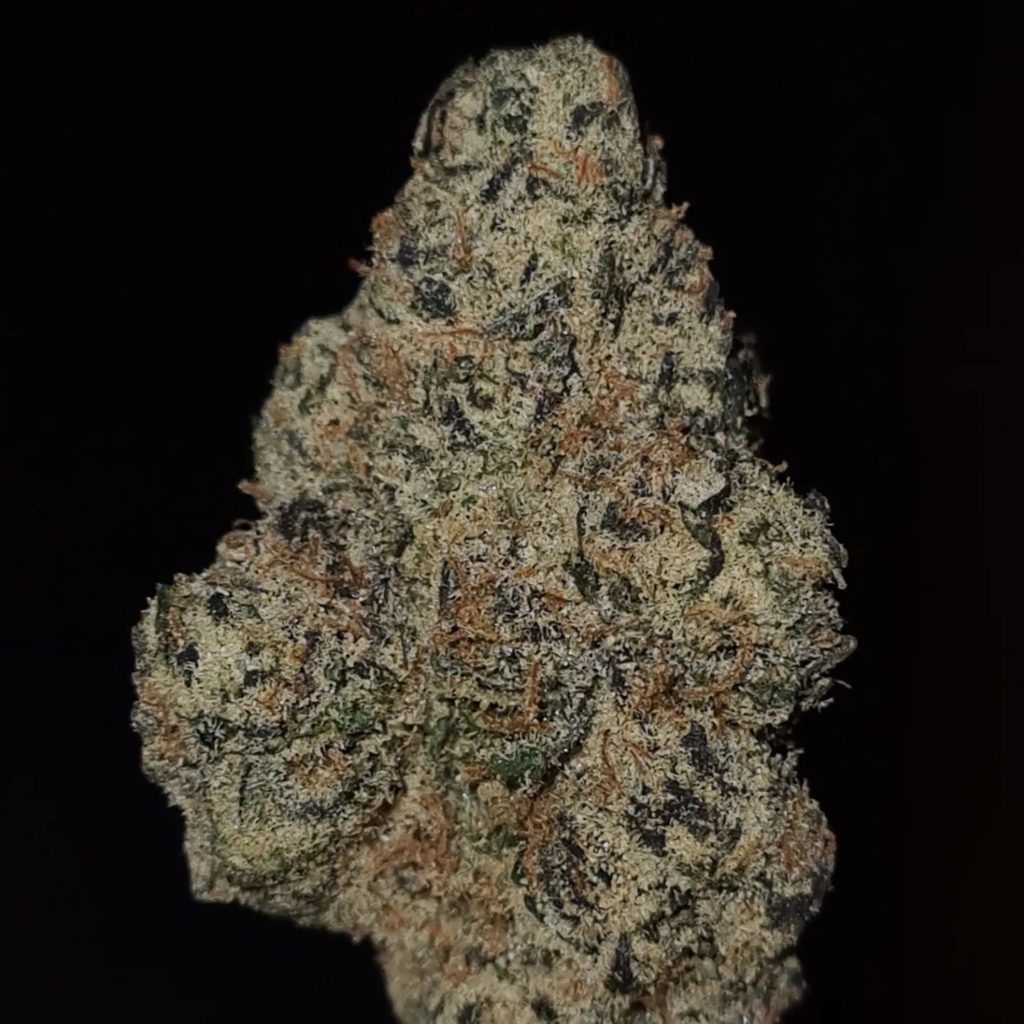 green men by jokes up strain review by cannoisseurselections