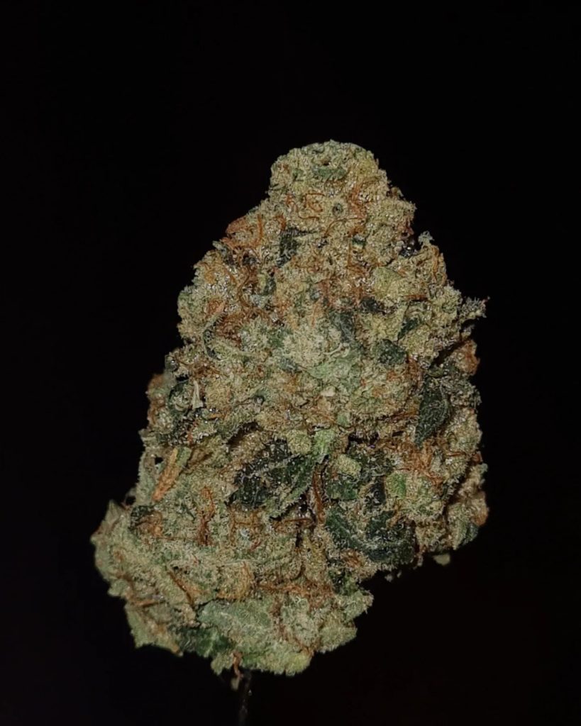 high octane by jungle boys strain review by cannoisseurselections