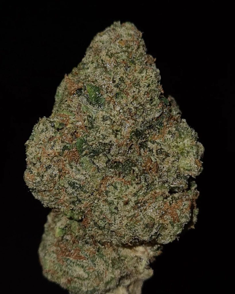 lem by lifeis not grape strain review by cannoisseurselections